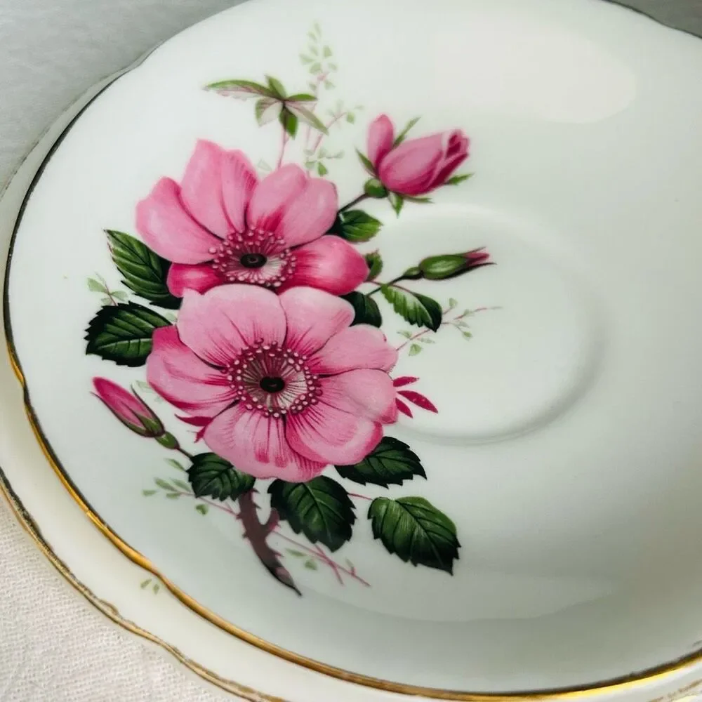 Vintage Old Royal England Pink Rose Porcelain Tea Cup Saucer Cake Plate Set